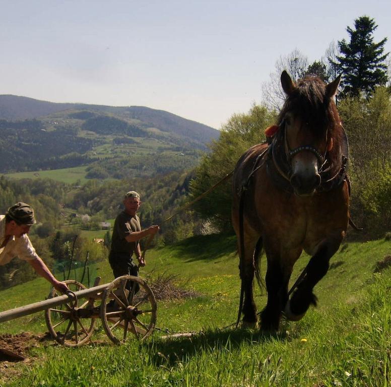 Agroturystyka Millerowka Kamionka Mala  외부 사진